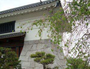 岡崎城：松平家（徳川家）代々の由緒あるお城