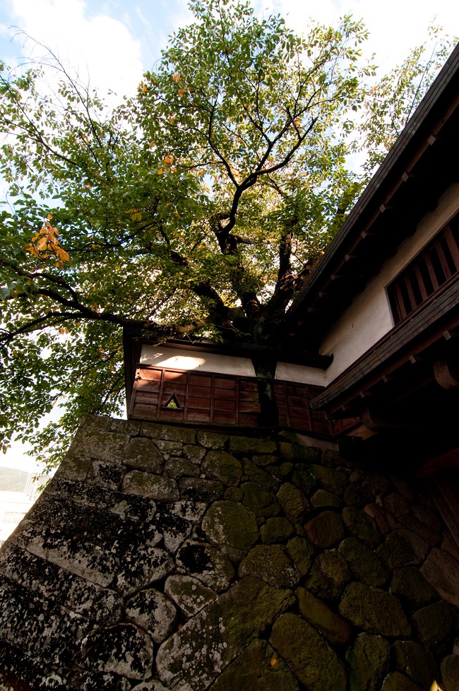 高島城：諏訪湖畔に面していた諏訪氏代々の美しい名城 【お城特集 日本の歴史】