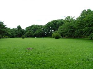 花巻城：戦国時代末期和賀・稗貫一揆で有名な稗貫広忠の居城 花巻城