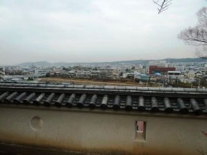 三木城：秀吉軍との三木合戦（三木の干殺し）で有名な別所長治の居城 三木城