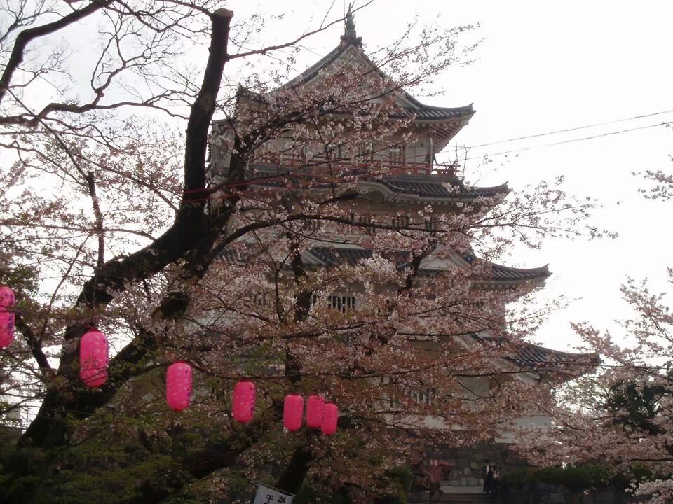 千葉城（亥鼻城）：千葉常胤が源頼朝の挙兵に呼応 戦国時代初期まで栄えた千葉氏の居城 千葉城