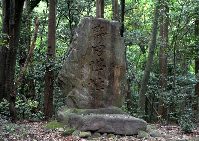 野田城／アクセス・場所・地図 今川家や武田信玄に攻められ２度の降伏をした菅沼定盈の野田城【日本の歴史 お城特集】