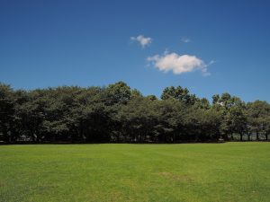 宇土城：関ヶ原の戦いで西軍の将小西行長の居城 宇土城