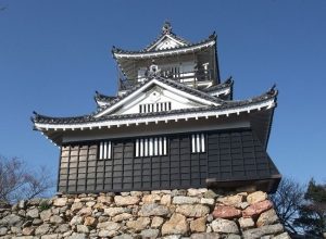 浜松城