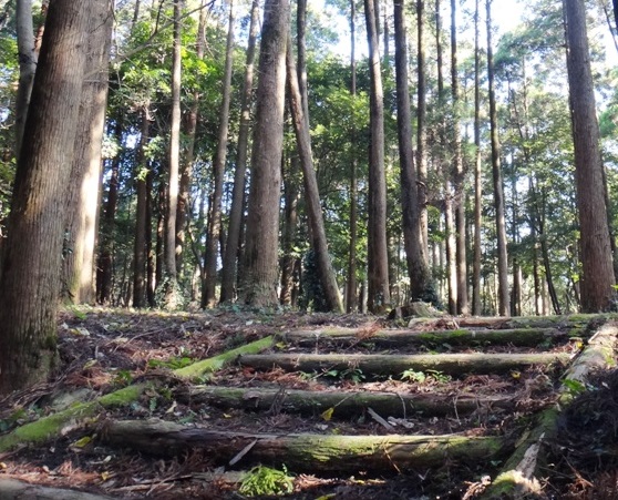 肝付城（高山城）／アクセス・地図・場所 大隅国で威を誇った肝付兼続だが島津家の攻撃により落城した肝付城