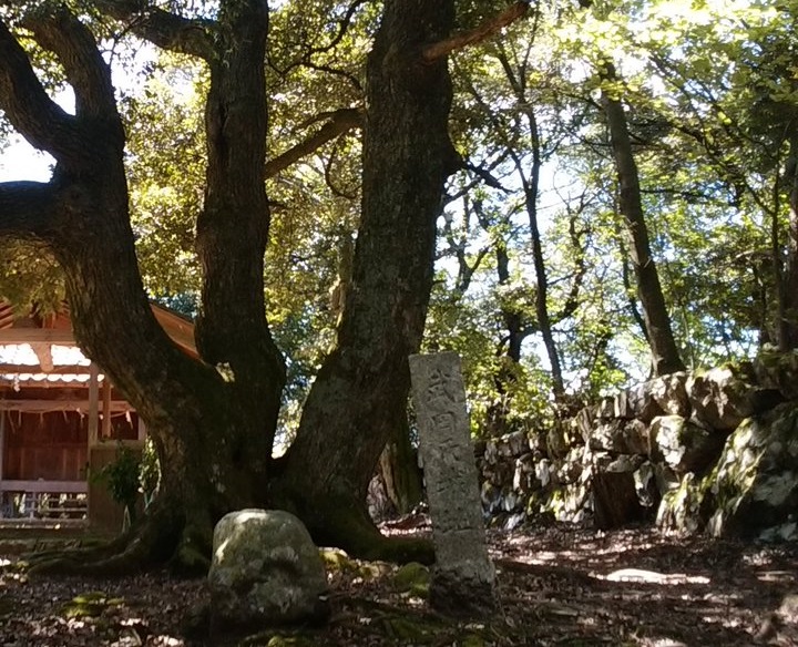 後瀬山城／アクセス・場所・地図 若狭守護の武田元明の居城 後瀬山城【お城特集 日本の歴史】