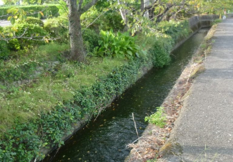 小城城/アクセス・場所・地図 佐賀藩の支藩で二代藩主鍋島勝茂の嫡男鍋島元茂が築いた小城城【日本の歴史 お城特集】 日本の歴史ガイド~日本の