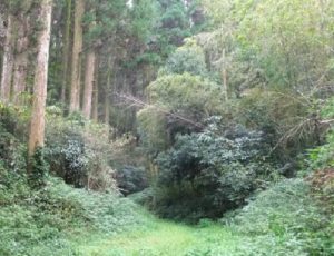 宮崎城／アクセス・場所・地図 戦国時代は伊東氏の城で関ヶ原の戦い後は高橋元種の居城となった宮崎城