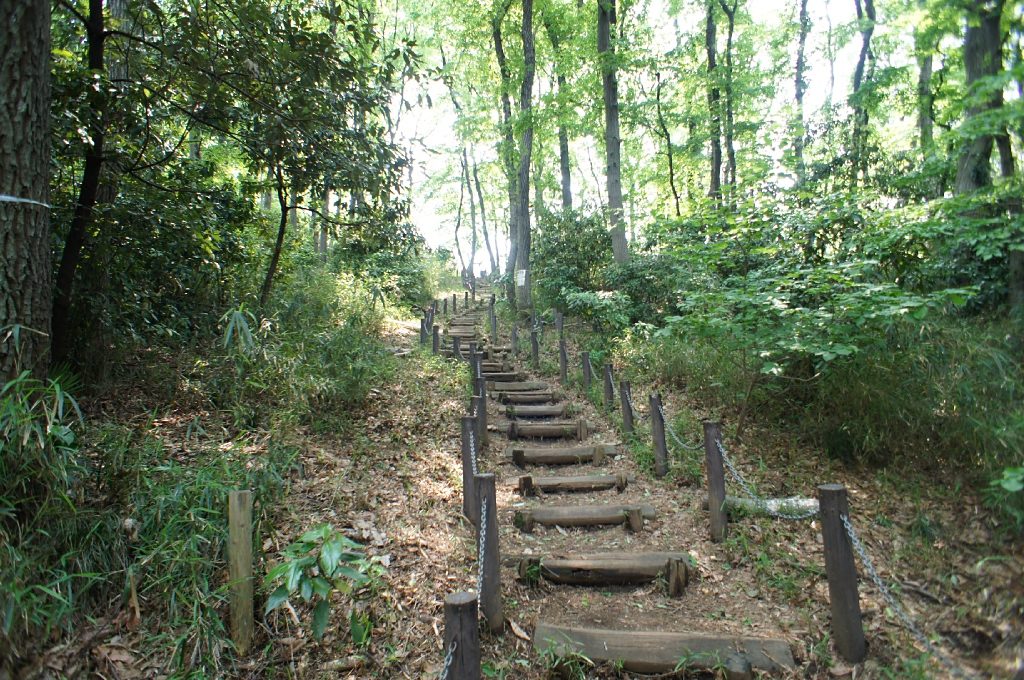 赤塚城／アクセス・場所・地図 小田原北条氏の有力な家臣赤塚千葉氏の居城 赤塚城【お城特集 日本の歴史】