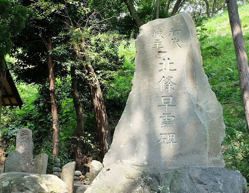 天野康景