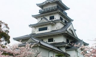 今治藩／場所・アクセス・地図 松平家３万５千石：松平定法 早くから新政府軍に従い江戸や会津征伐まで参戦した今治藩【幕末維新写真館】