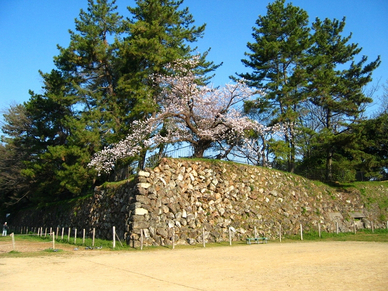 加納藩／場所・アクセス・地図 永井家３万２千石：永井尚服 戊辰戦争では東山道鎮撫総督府軍「岩倉具定」に帰順した加納藩【幕末維新写真館】