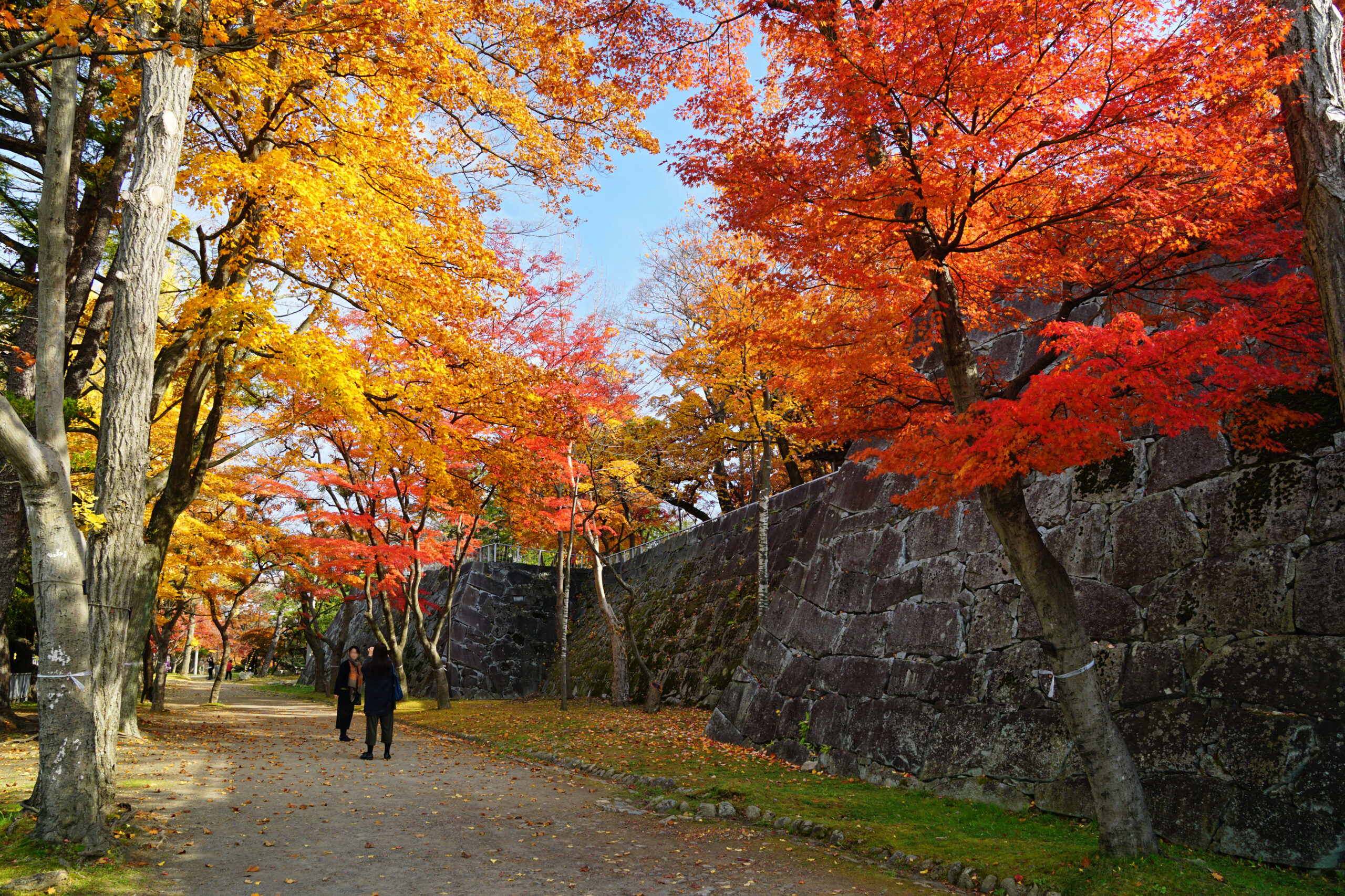 171103_Morioka_Castle_Morioka_Iwate_pref_Japan01s3-1