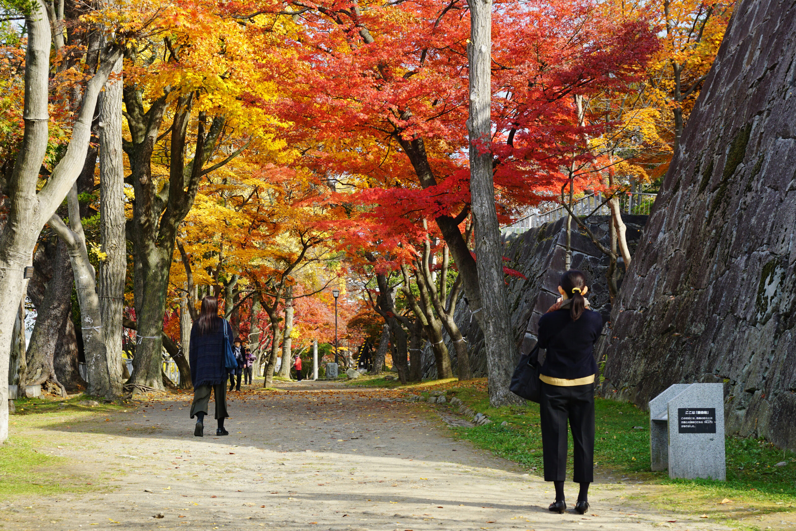 171103_Morioka_Castle_Morioka_Iwate_pref_Japan02s3-1