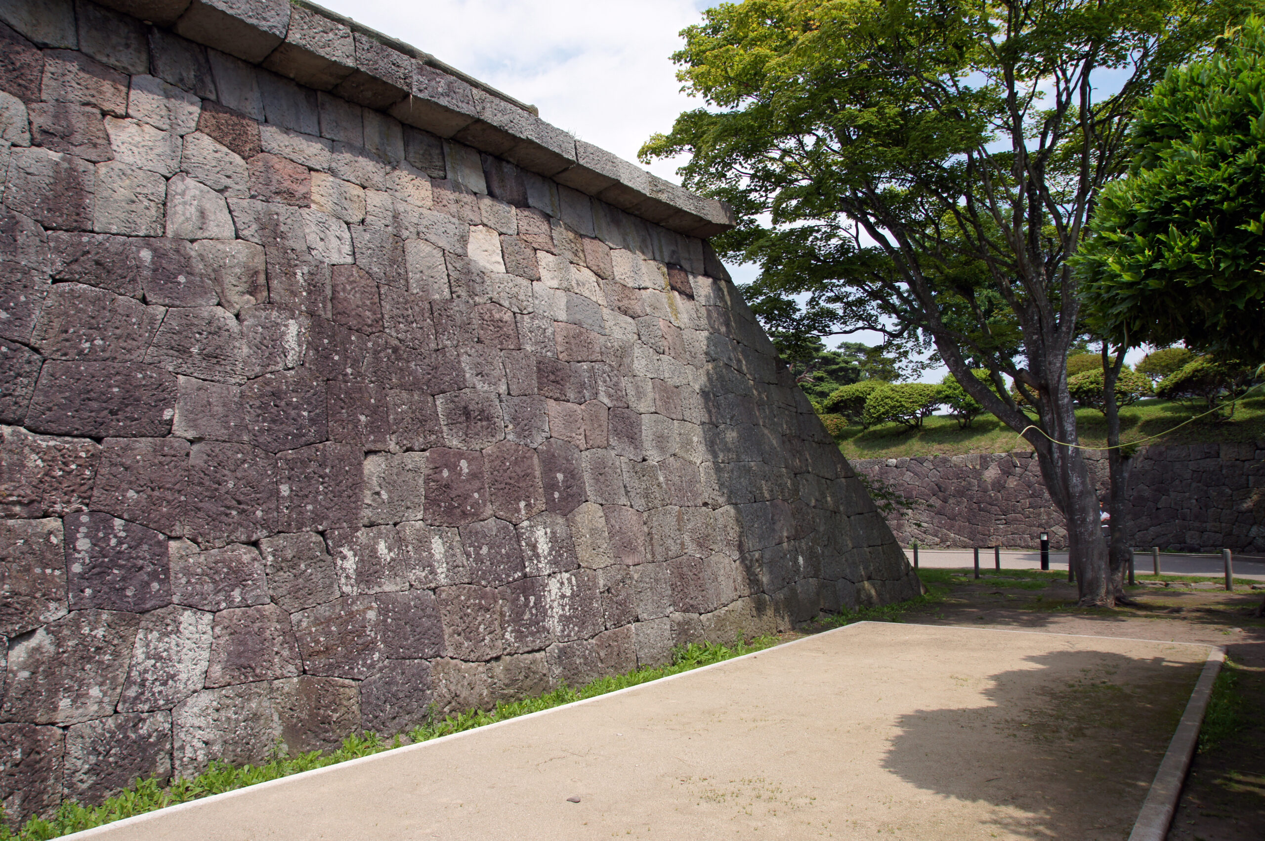 SONY DSC