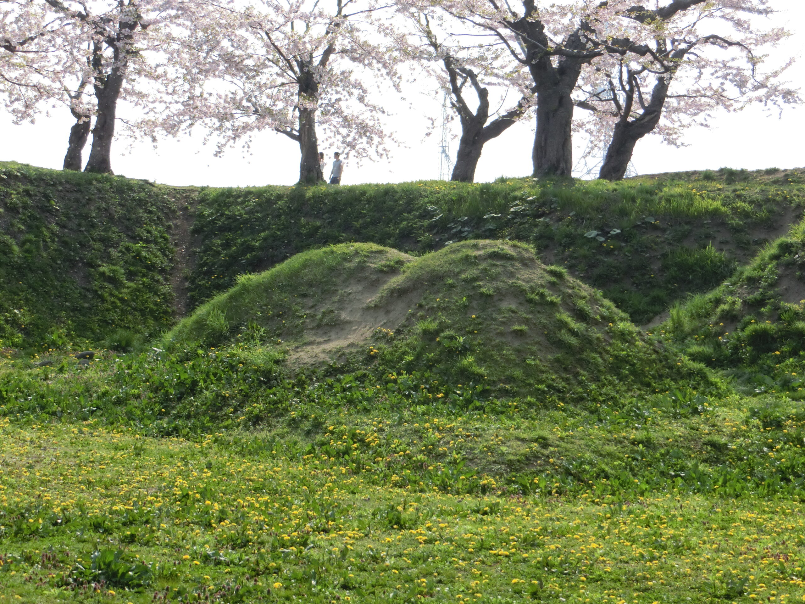 Goryokaku_grabe-1