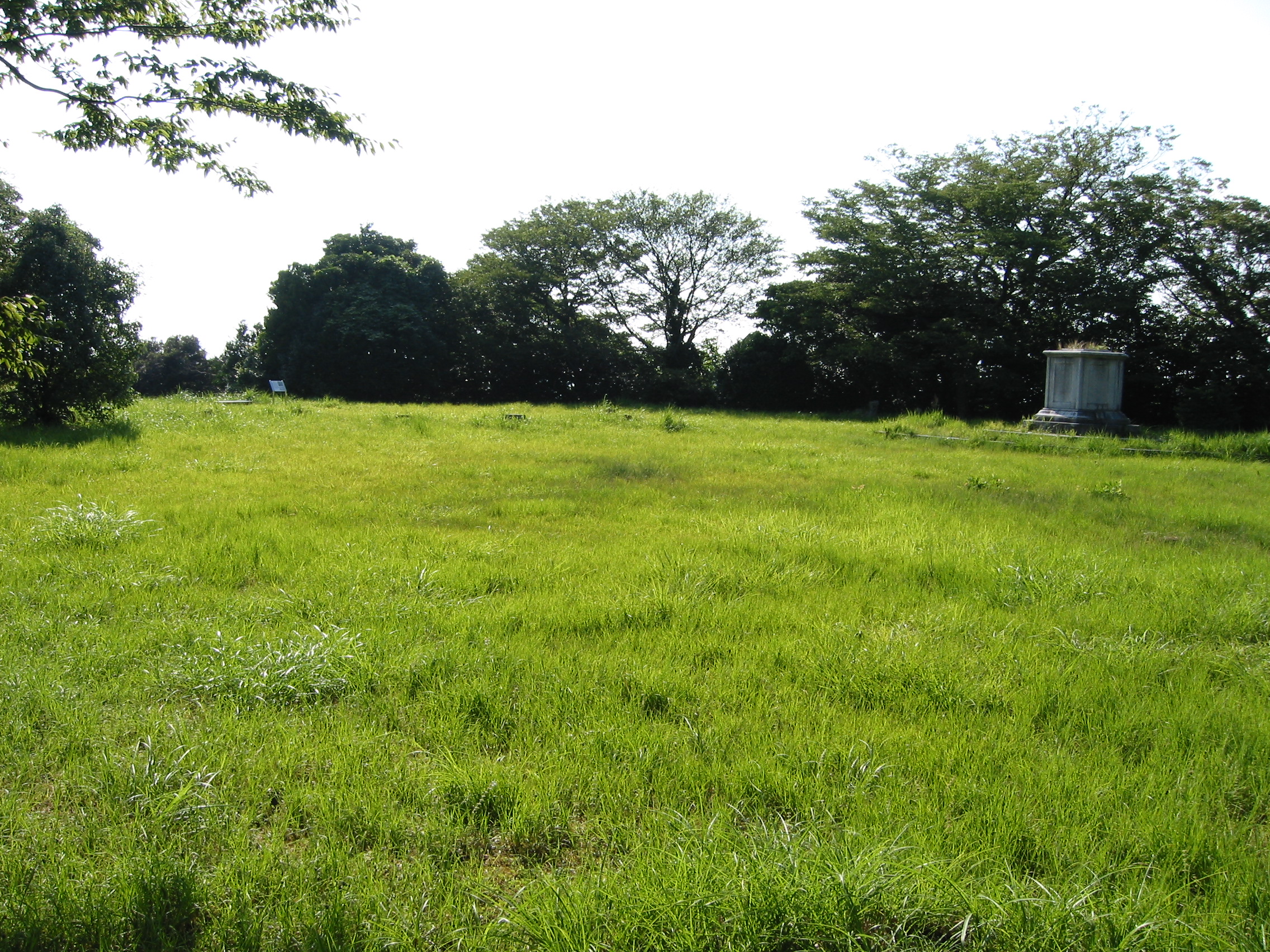 Hamada_castle_a_site_of_Honmaru-1