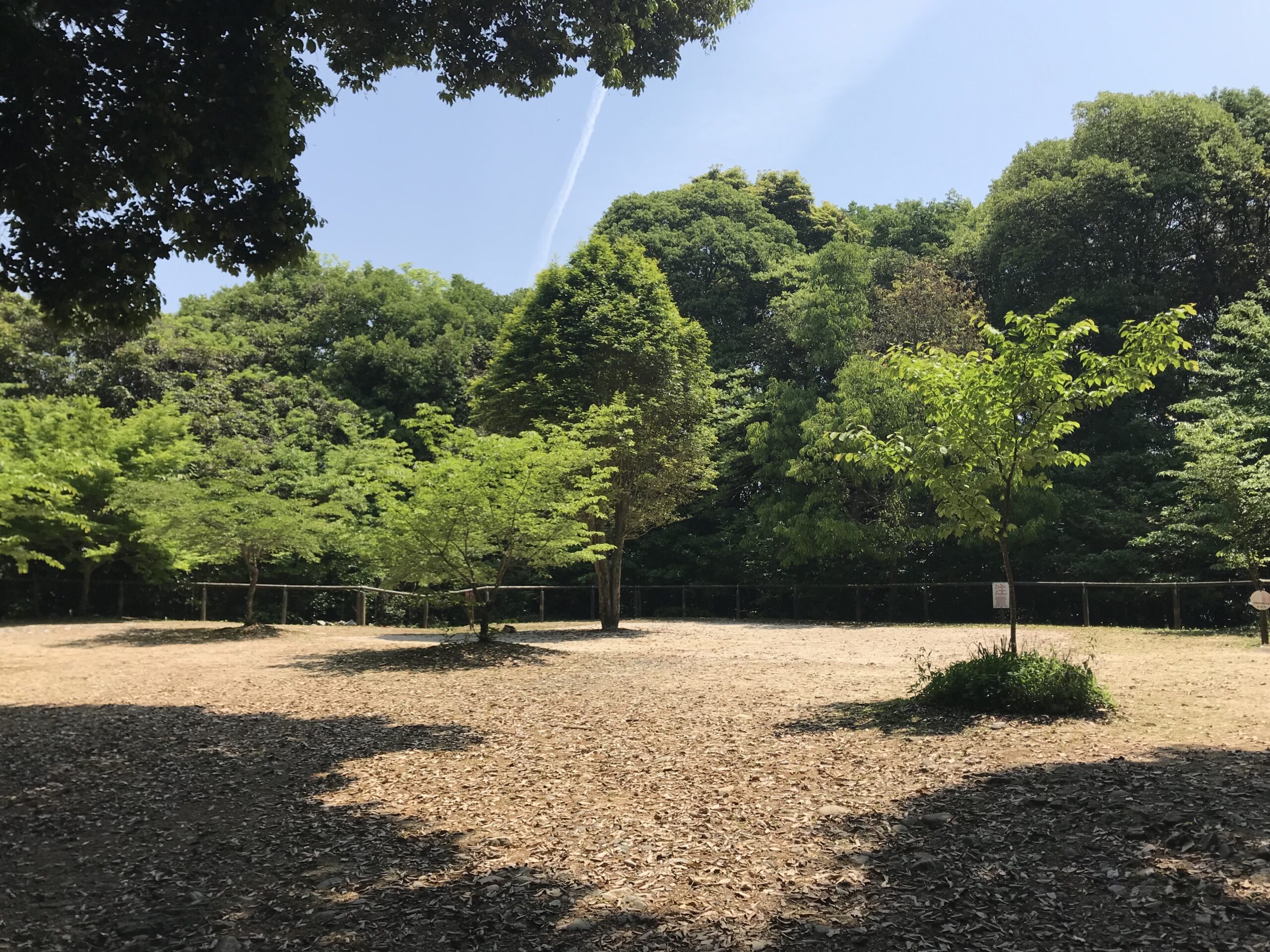 Kitanomaru_Square_of_Iwakuni_Castle-1