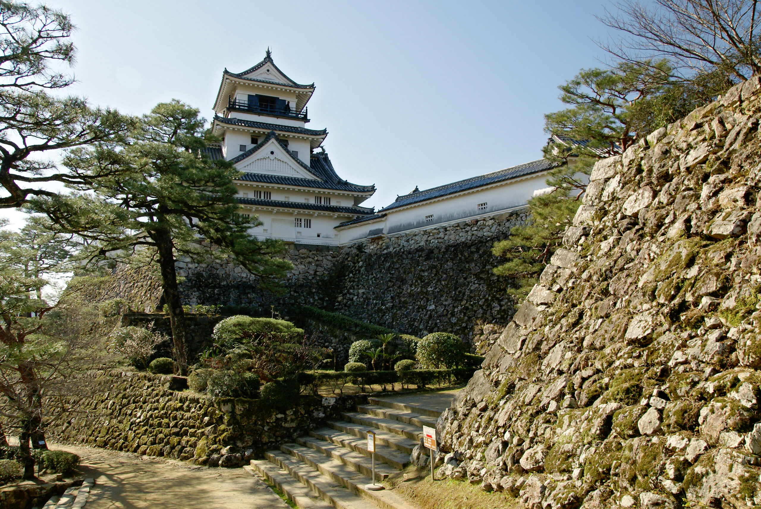 SONY DSC