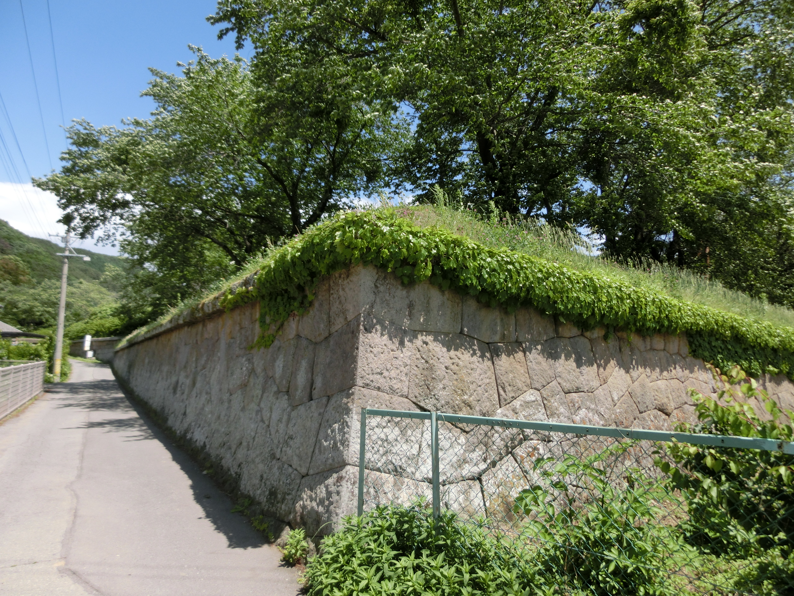 Tatsuoka_Castle_02-1