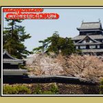 松江城 日本5大天守閣（1/540）日本の名城プラモデル 屋根ゴールドメッキ豪華版