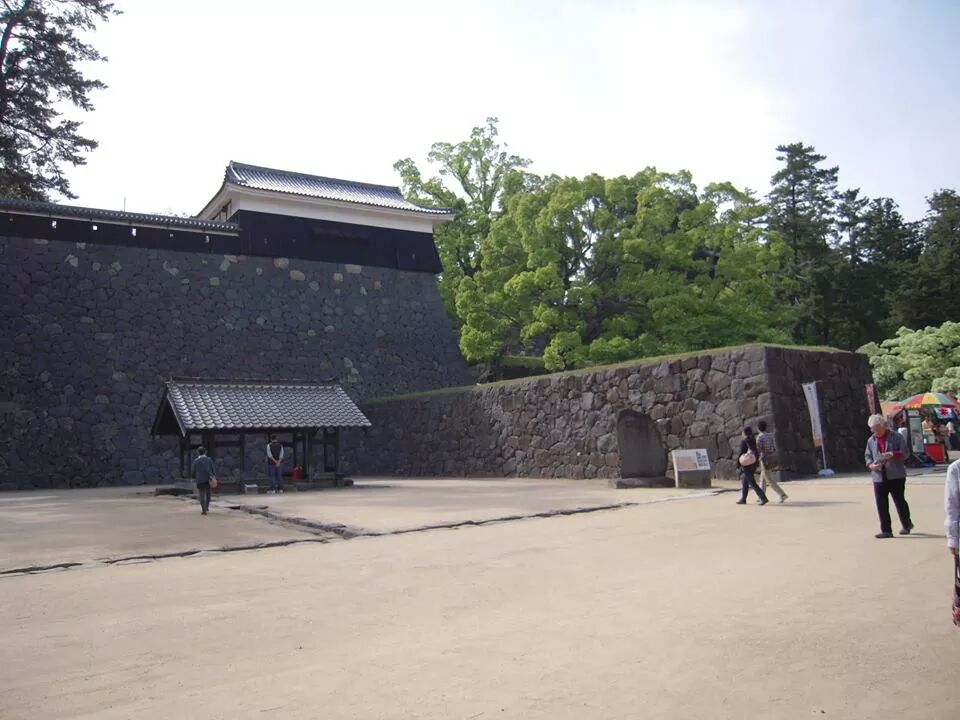 松江城 日本5大天守閣（1/540）日本の名城プラモデル 屋根ゴールドメッキ豪華版