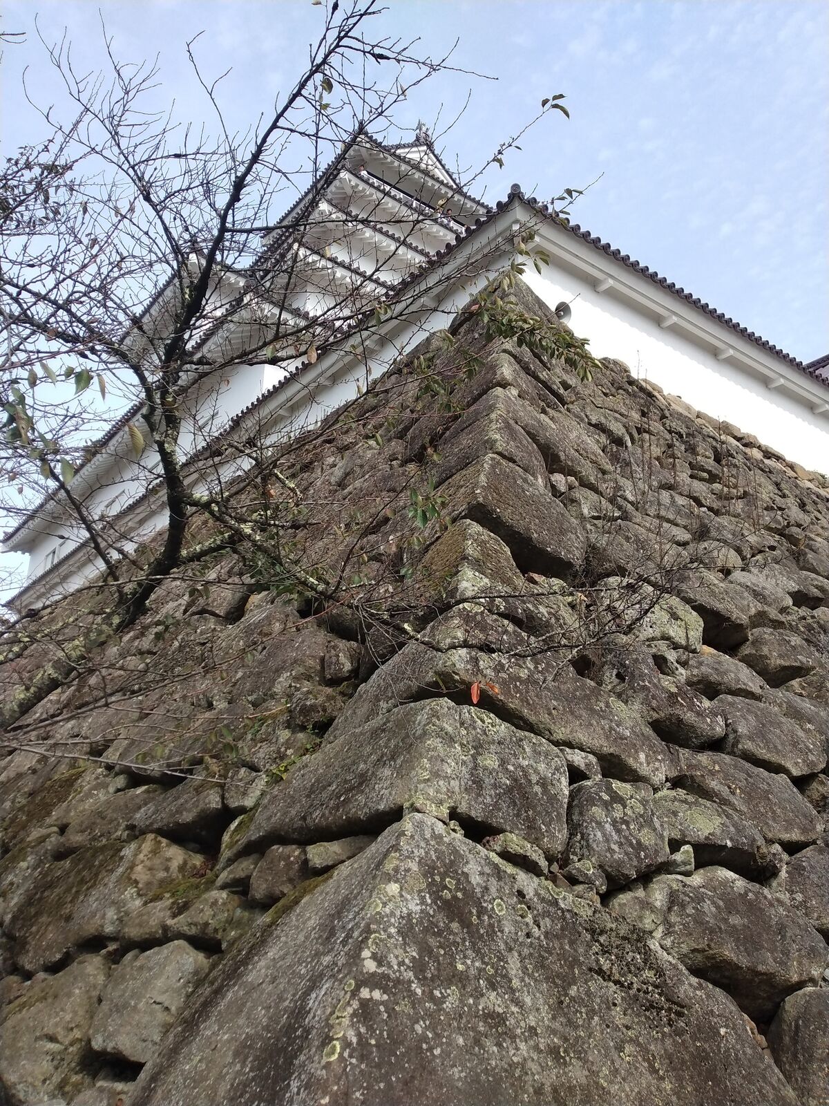鶴ヶ城の野面積みの石垣