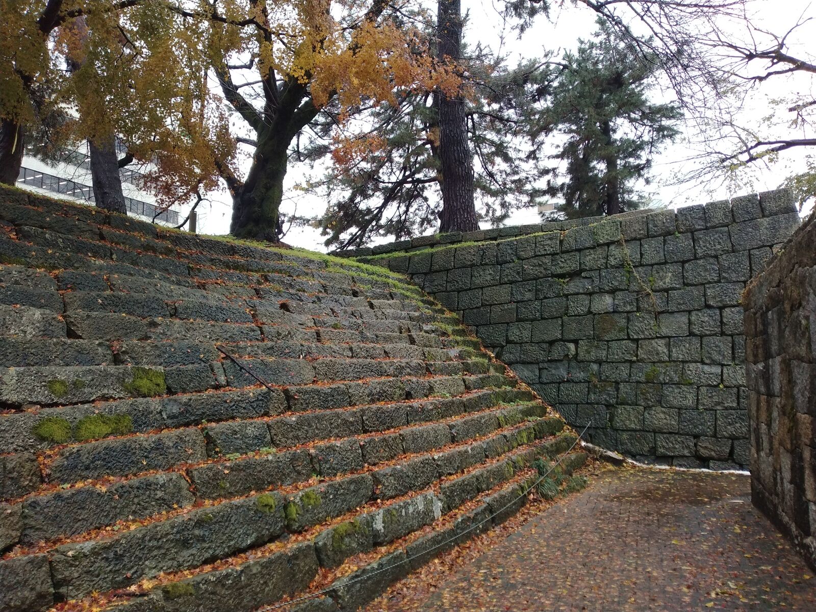 福井城 本丸の石段と石垣