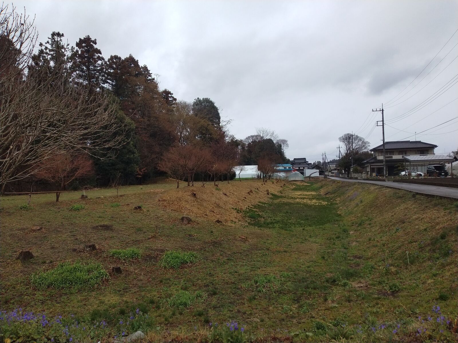 児山城跡に残る土塁と堀