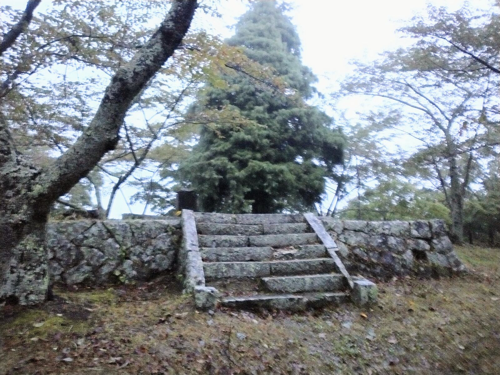 三春城 本丸へと続く石段