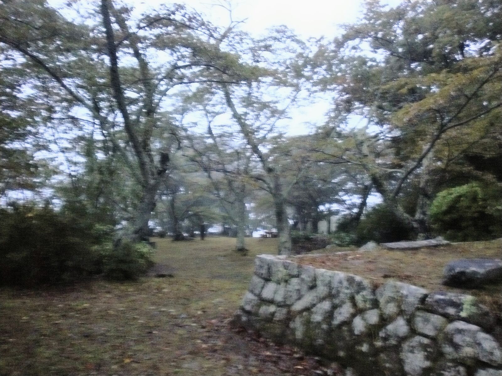 三春城の石垣と曲輪