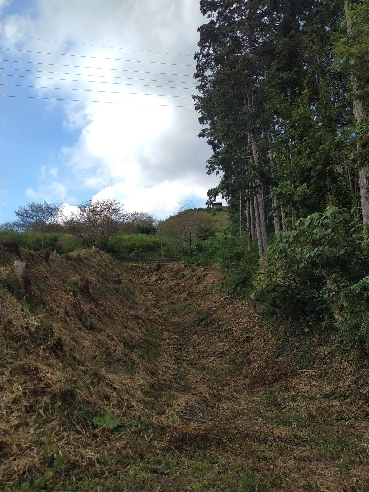 皆川城址の堀切
