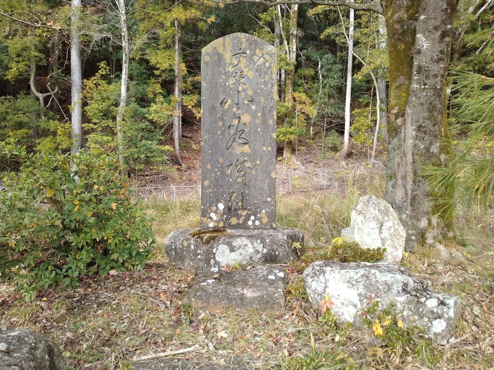 史蹟 小谷城址の碑