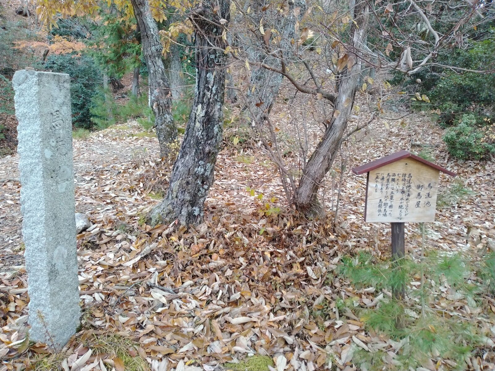 小谷城の馬洗池と御馬屋跡