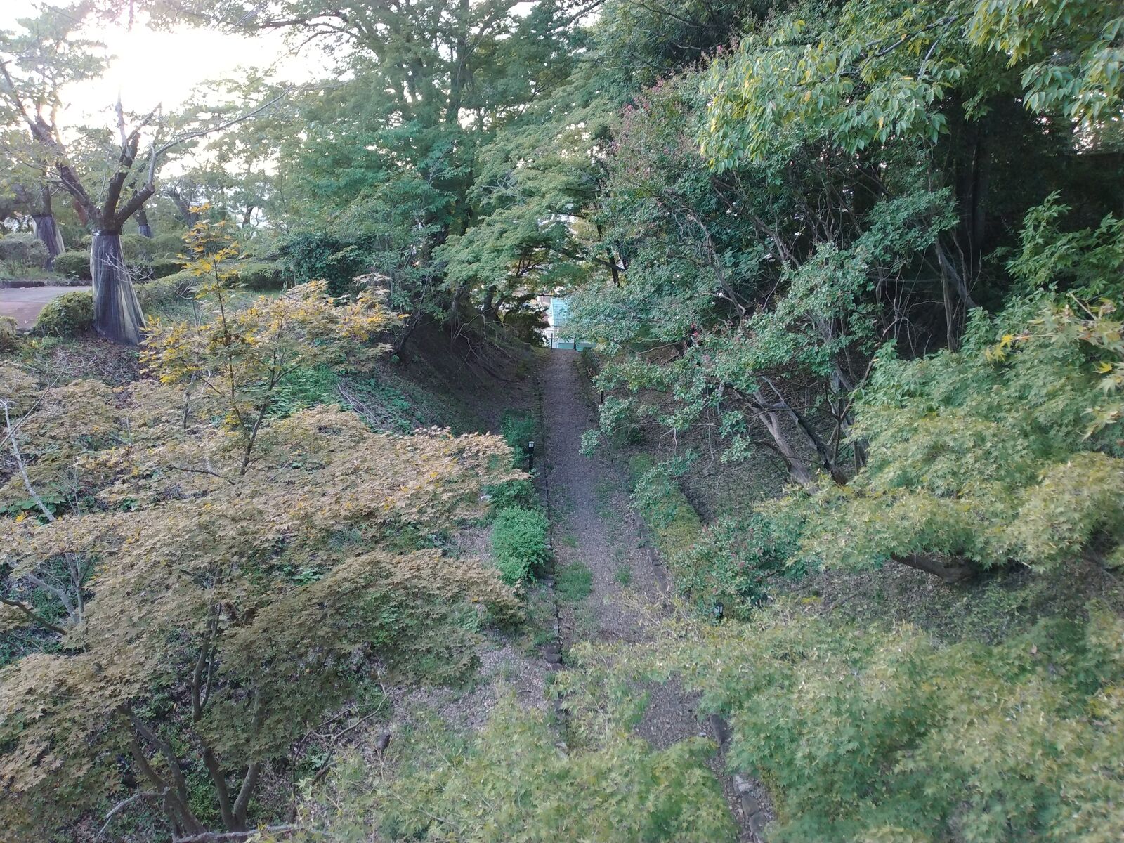 佐野城跡の空堀