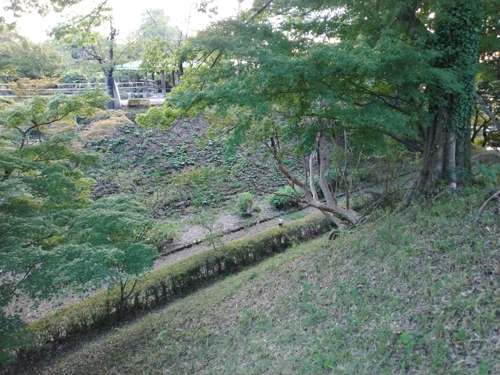 佐野城跡の空堀と土手