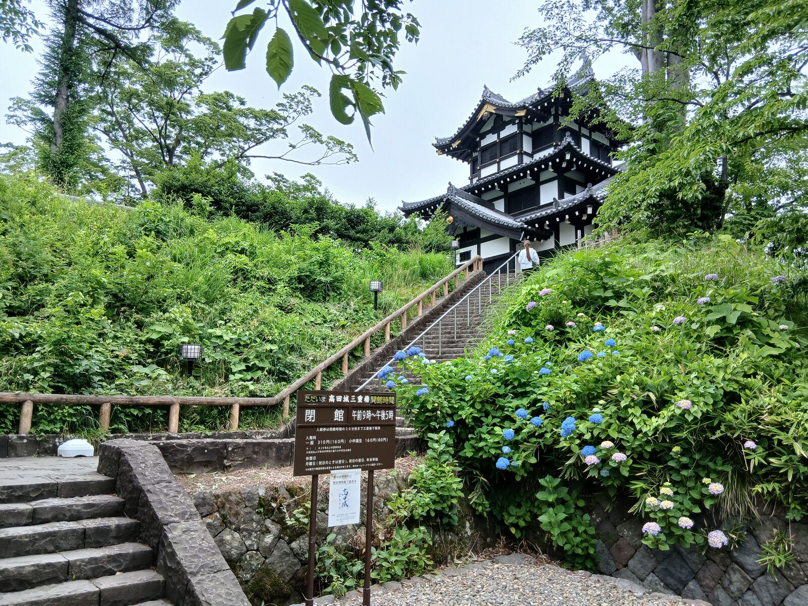 三重櫓へ登る石段とあじさい