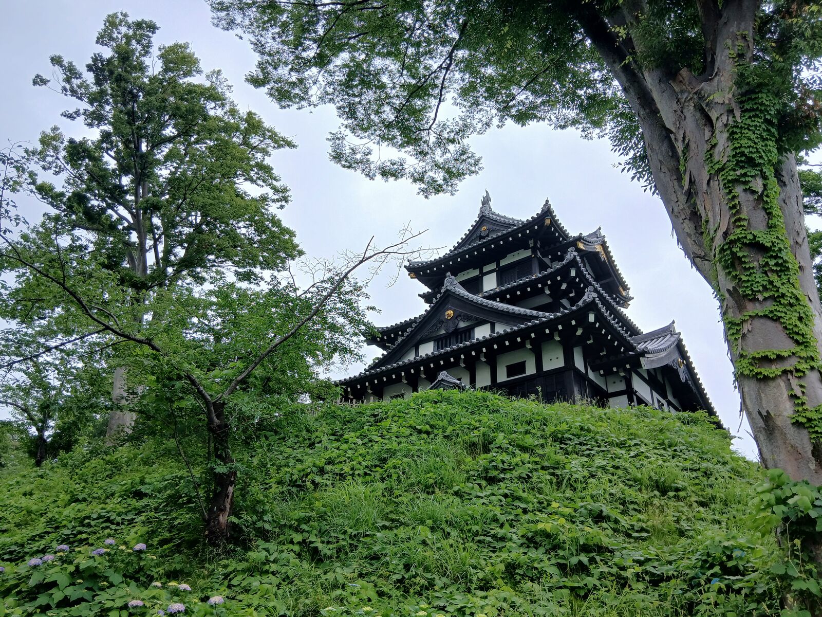 木々の間から見上げる三重櫓