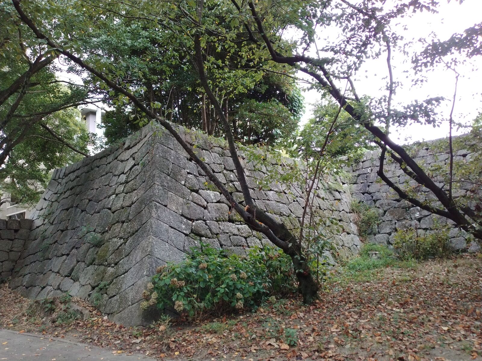 津城 本丸の石垣