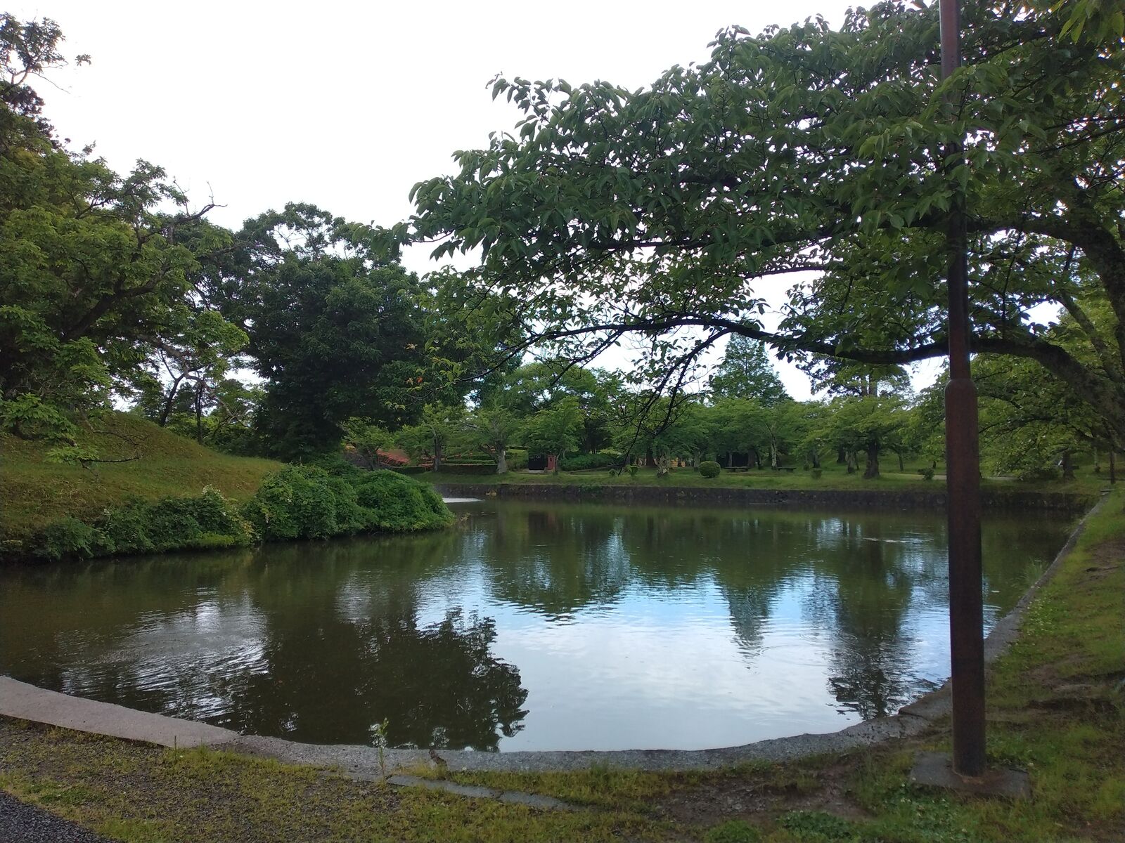 鶴ヶ岡城 本丸を囲む水堀と土塁