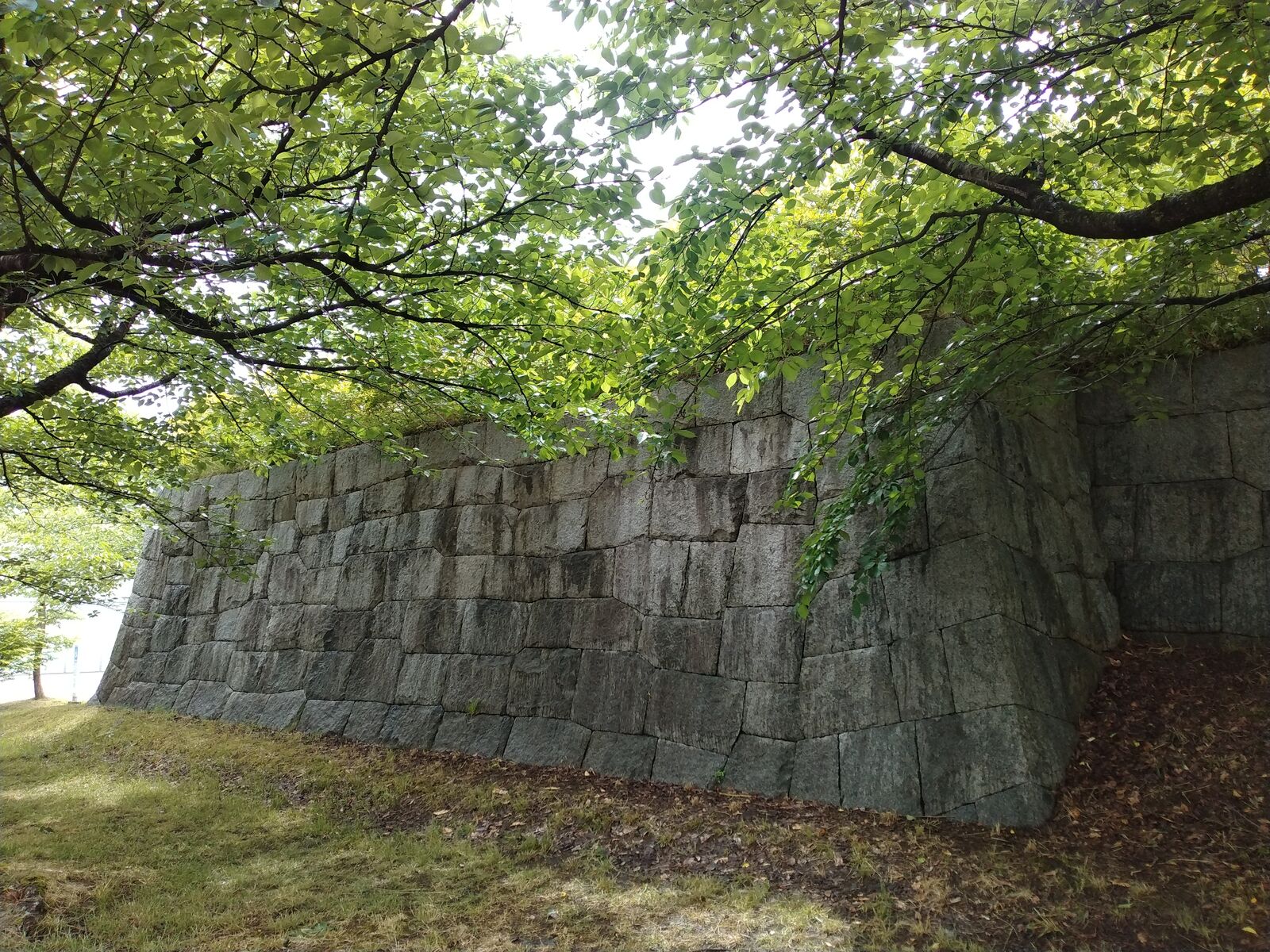 鶴ヶ岡城に残る隅櫓台の石垣