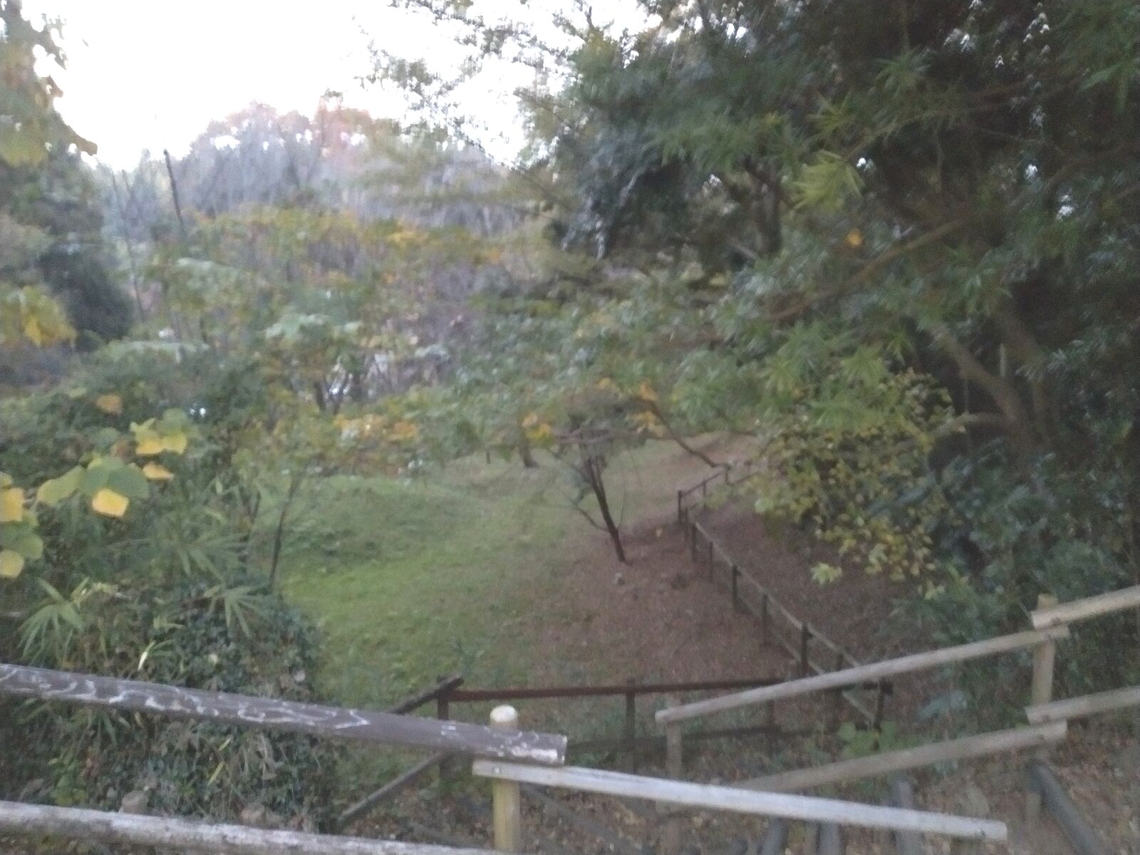 臼井城跡の空堀と土橋