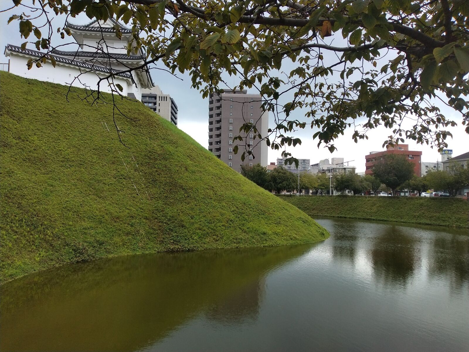 宇都宮城の水堀と土塁