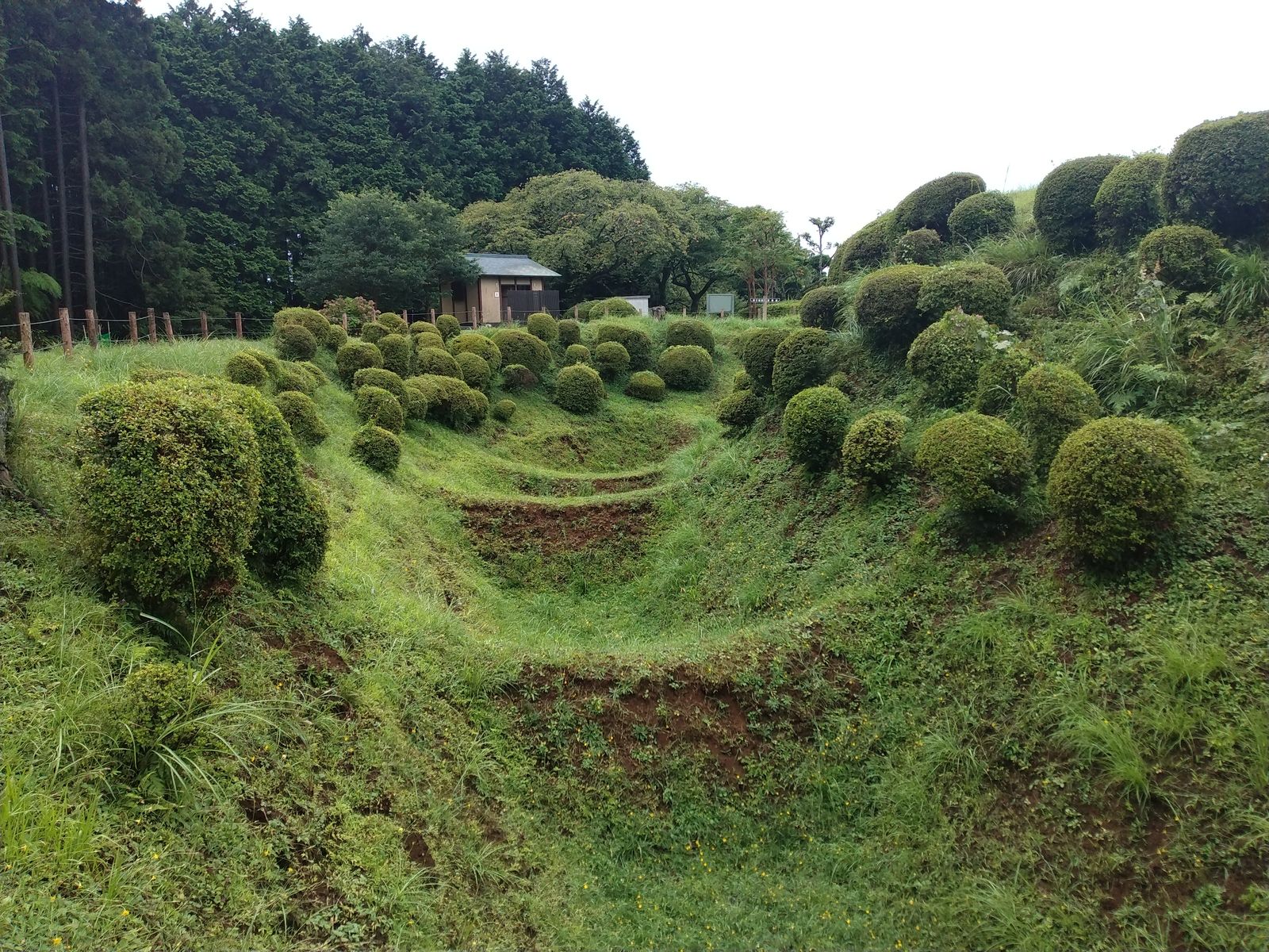 山中城の障子堀。堅固な防御を誇ったが、小田原征伐の緒戦でわずか半日で落城した。