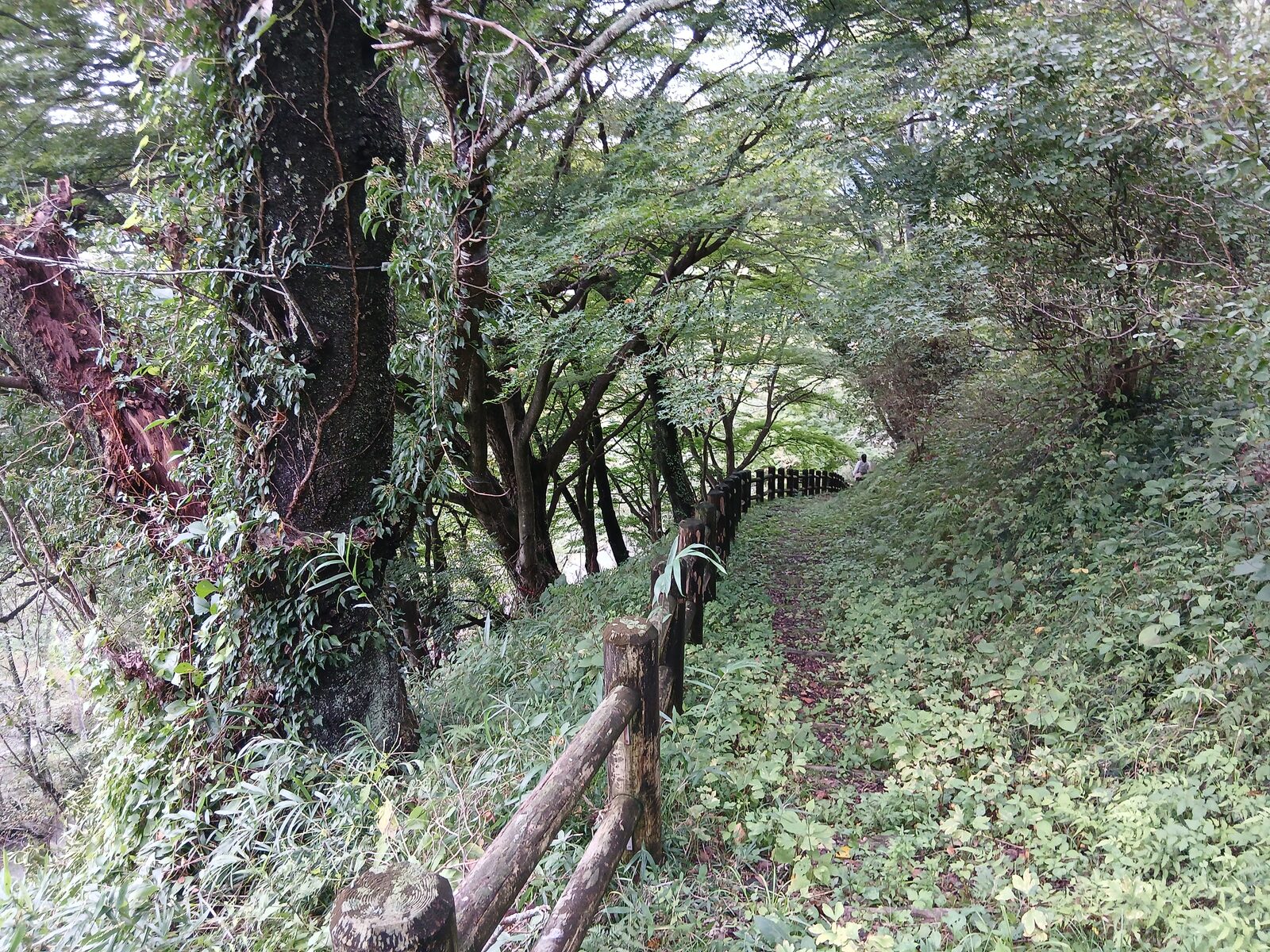 芦野氏陣屋跡の土塁沿いの道