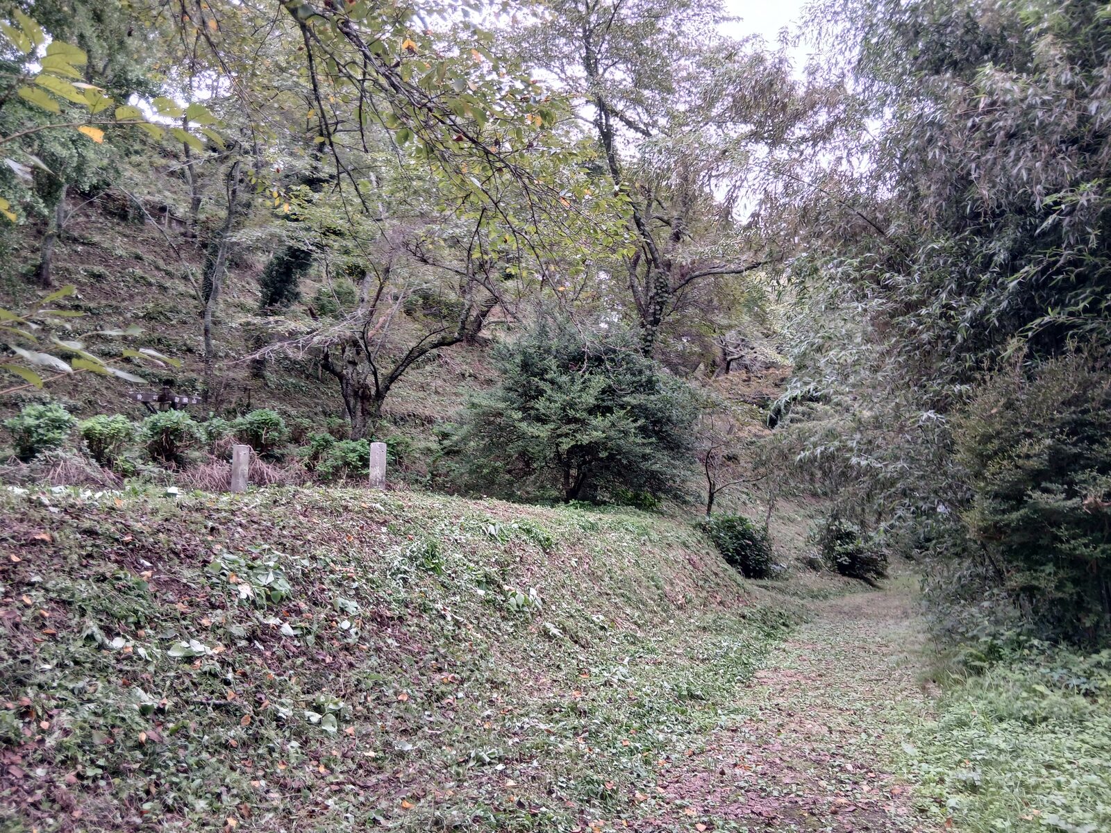 芦野氏陣屋跡の空堀