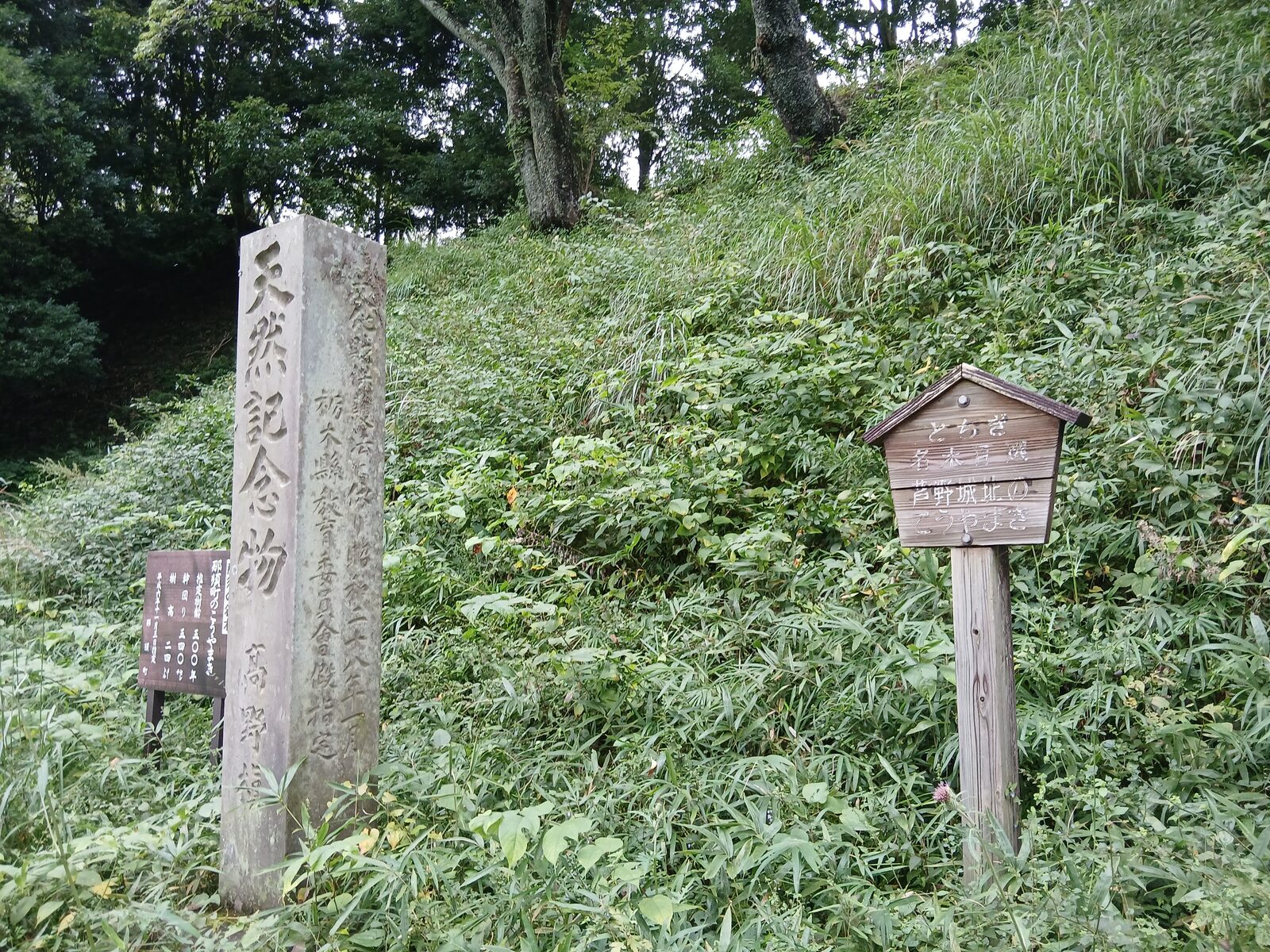 芦野城址のこうやまきの碑