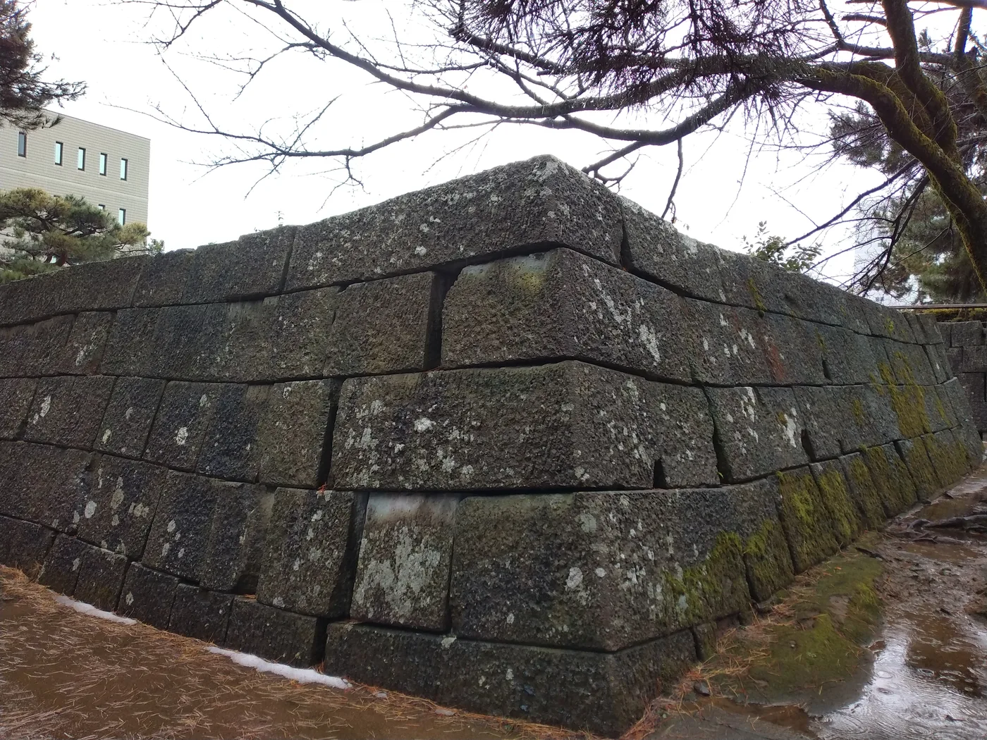 福井城の天守台