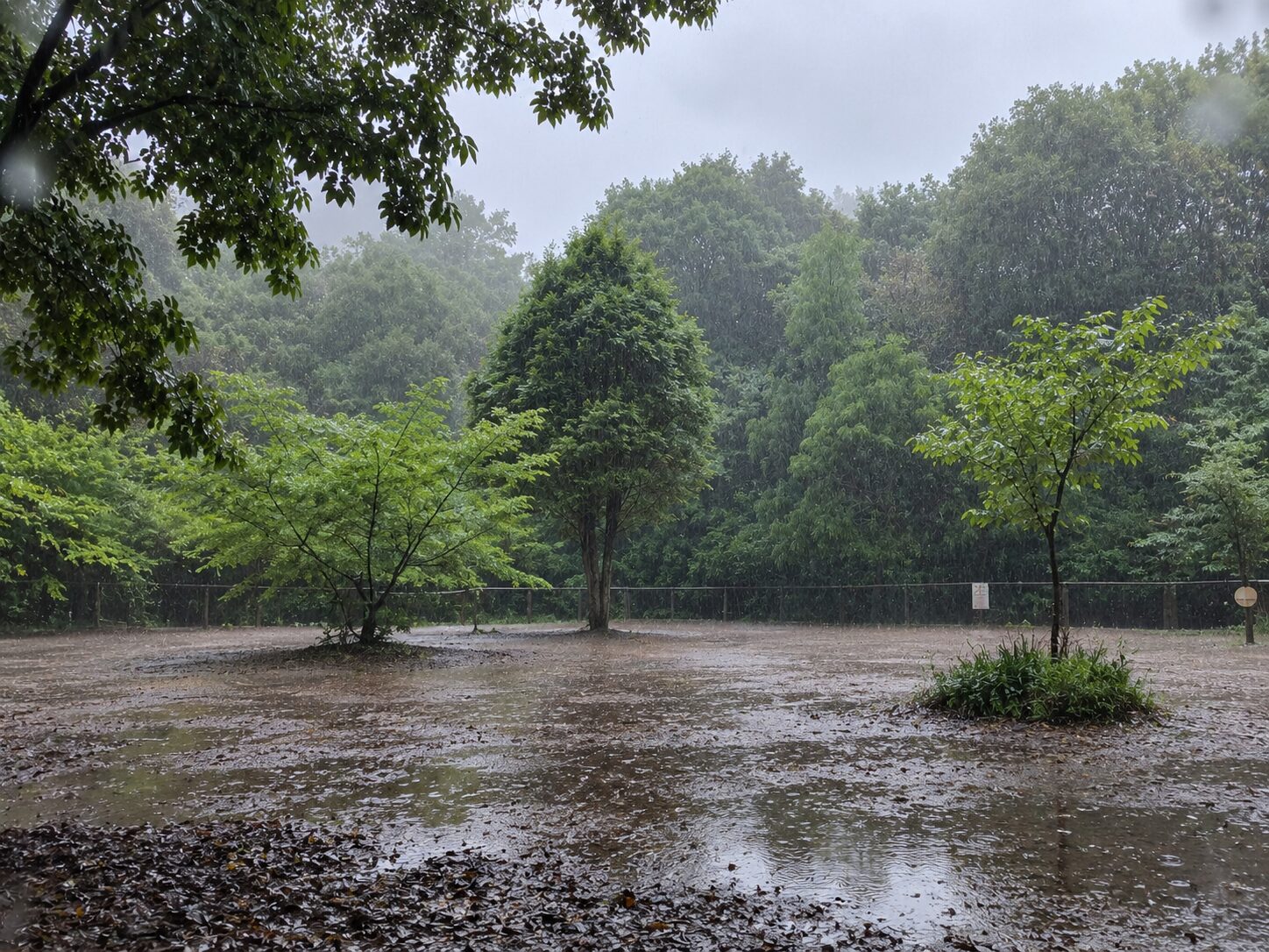 岩国城｜北の丸（雨）