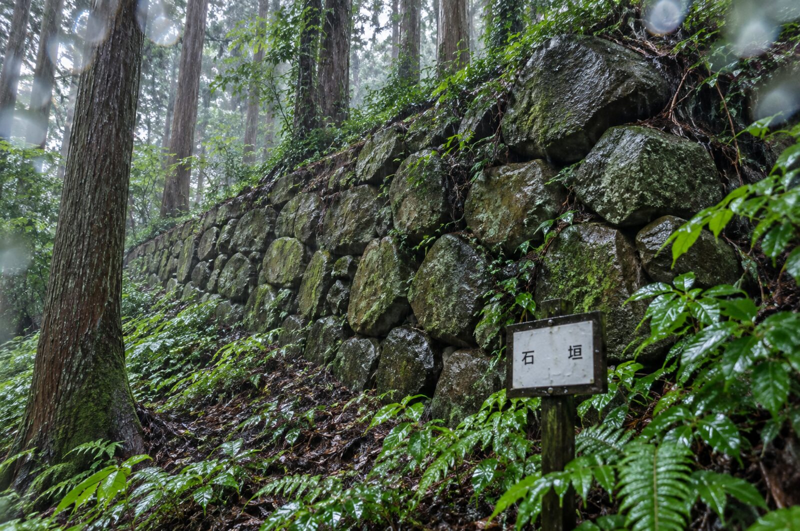karasuyamajo-ishigaki-hyochu